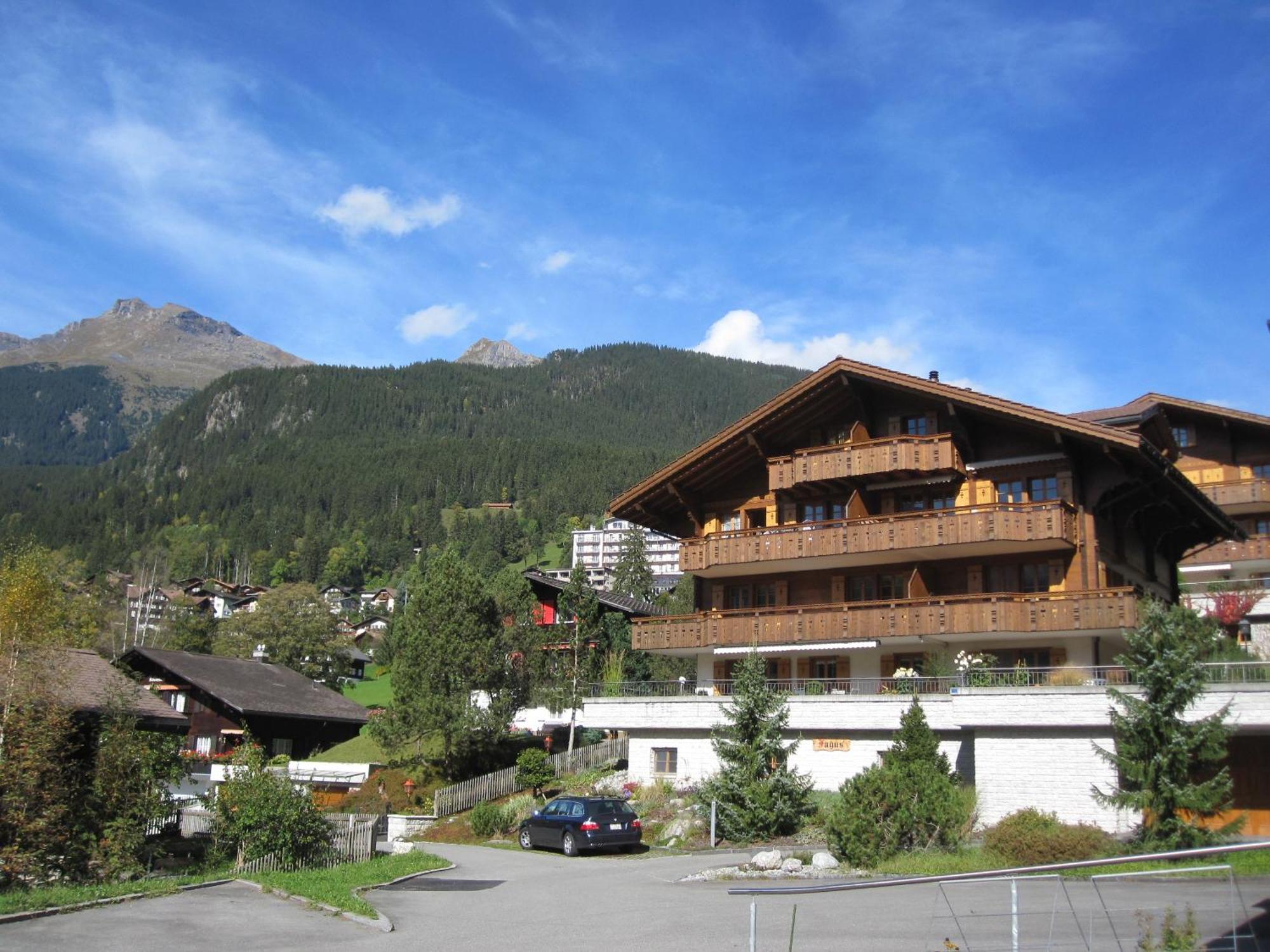Mom - Alpine Boutique Apartments, Chalet Fagus, Terrace Studio 그린델발트 외부 사진